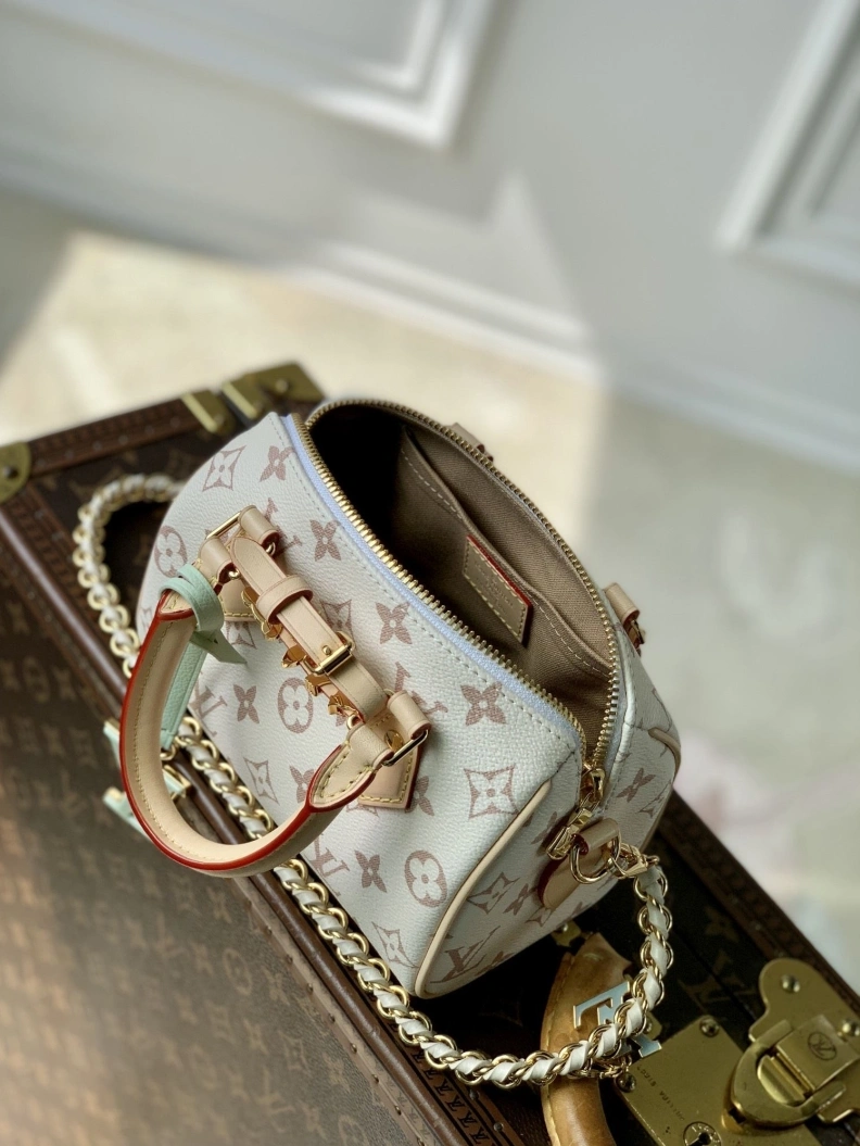 DailyWear LX Speedy Bags 3394