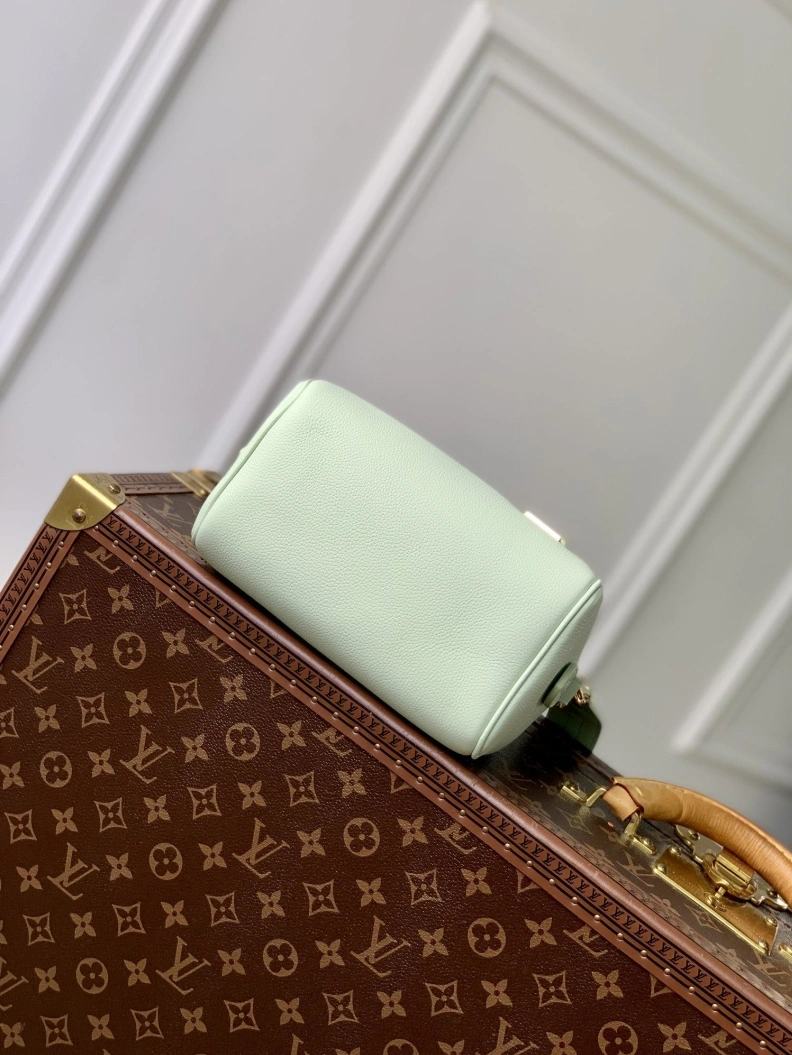 Soft LX Speedy Bags 3362