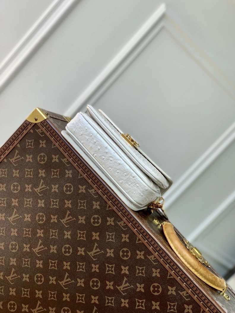 LX Satchel Bags DailyWear 3477