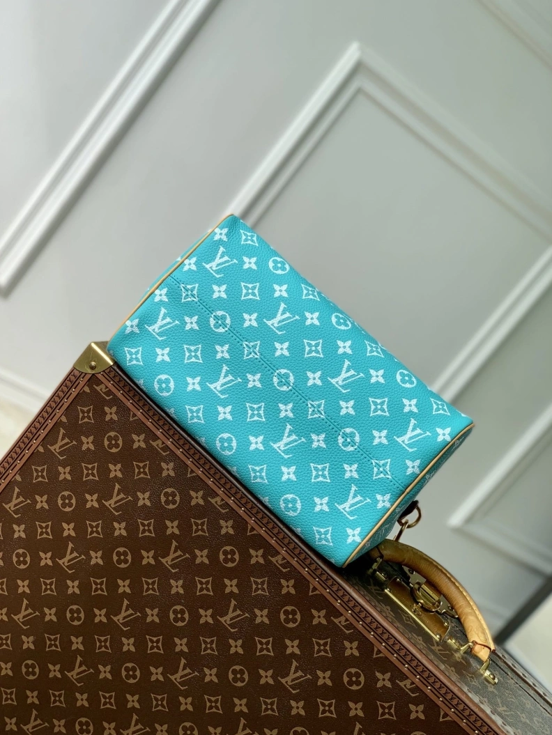 Stylish LX Speedy Bags 3400