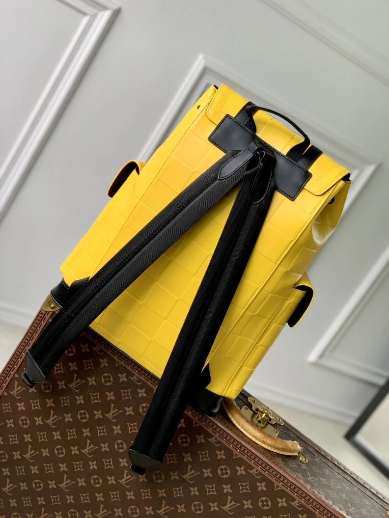 Cozy LX Backpacks 3501