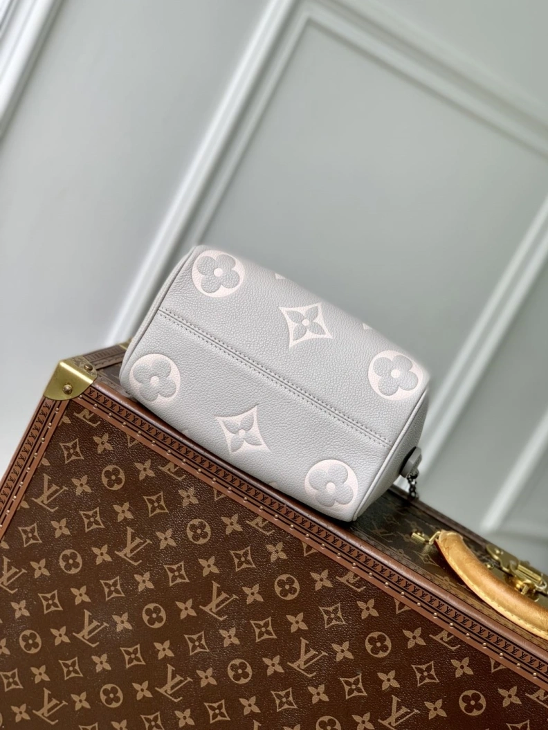 LX Speedy Bags Bright 907