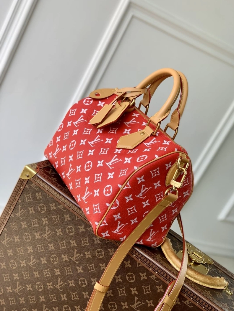 LX Speedy Bags TopPick 904