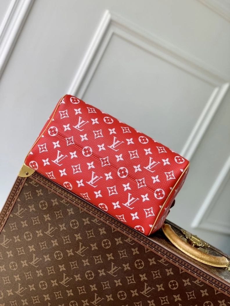 LX Speedy Bags TopPick 904