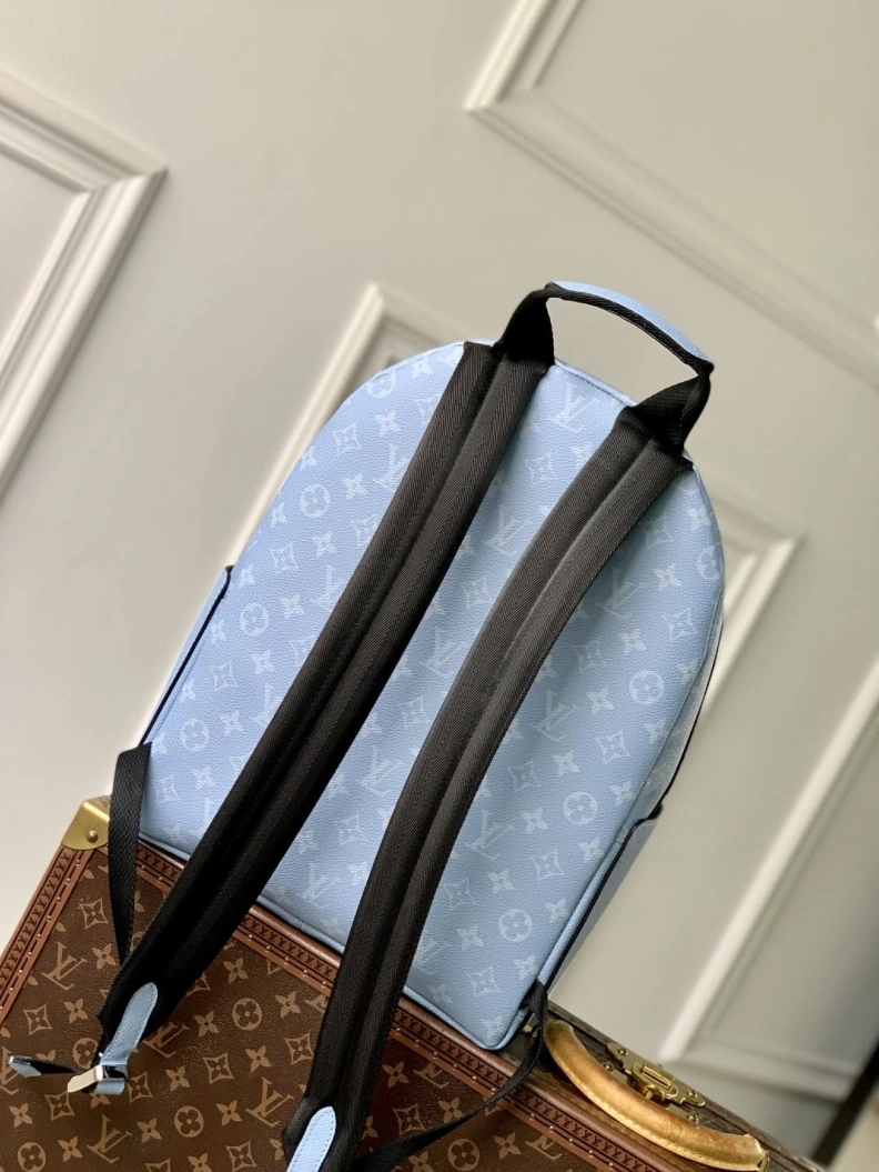 Sleek LX Backpacks 1060
