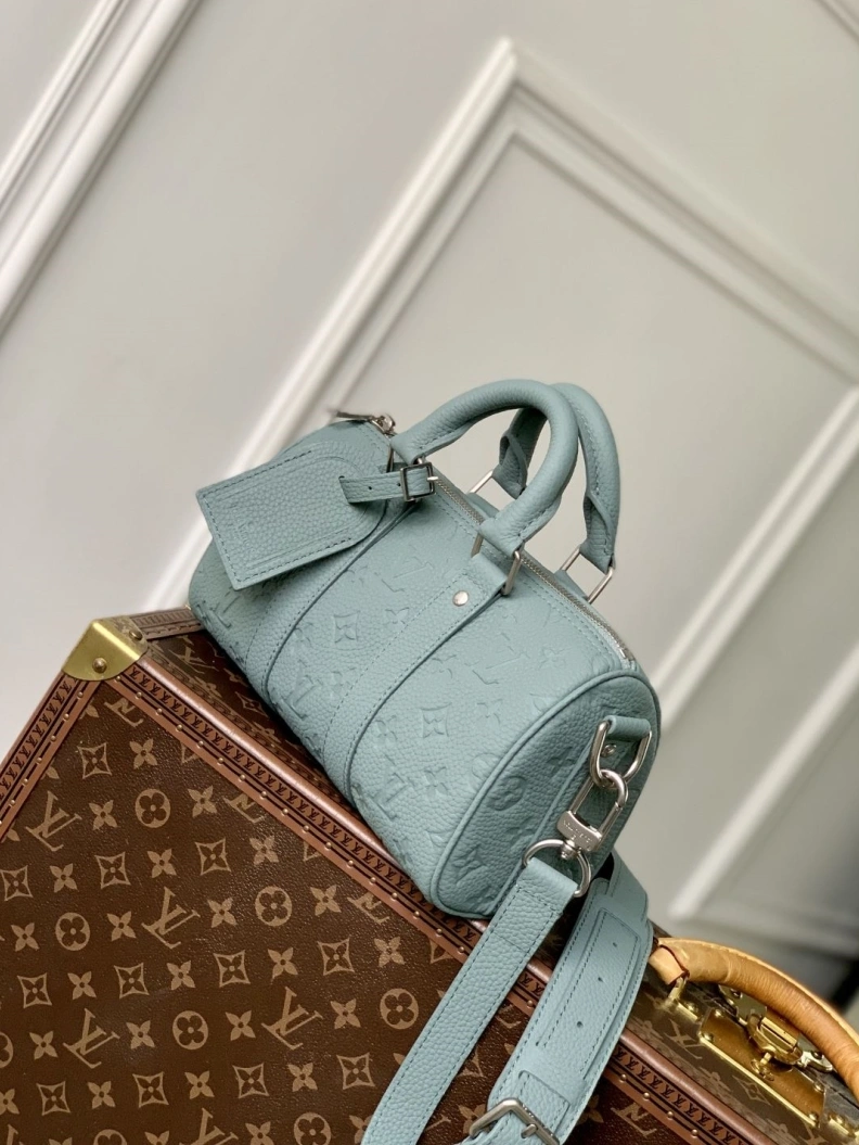 AllSeason LX Speedy Bags 898