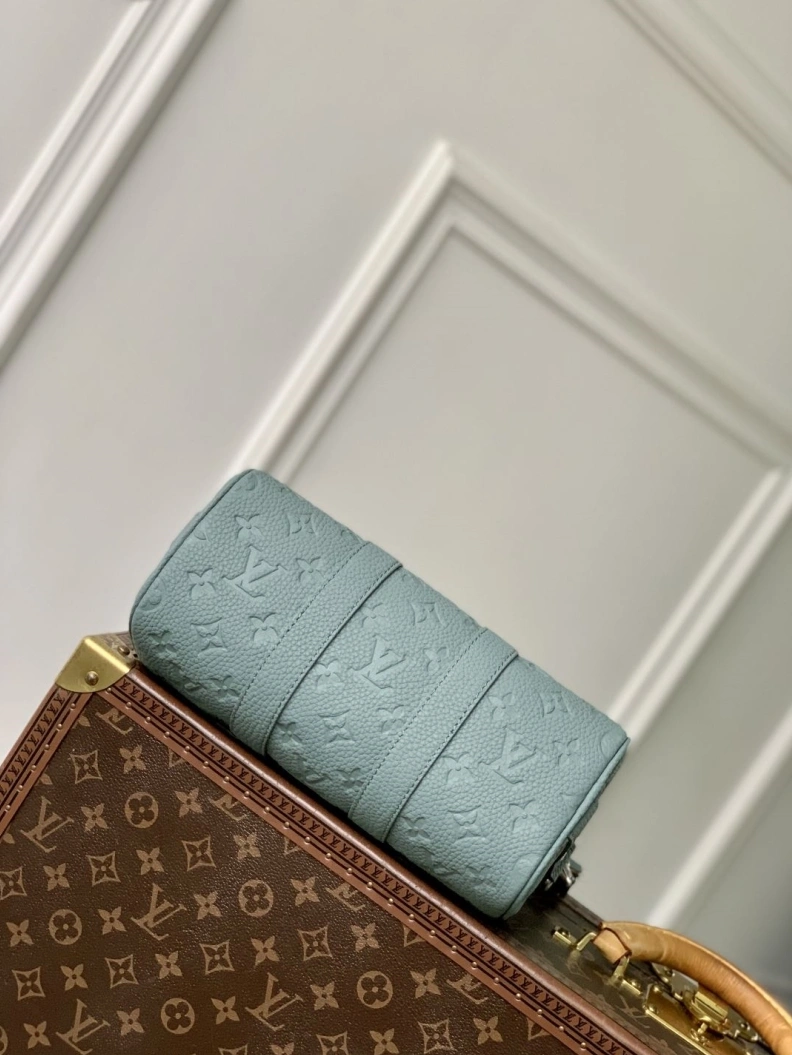 AllSeason LX Speedy Bags 898