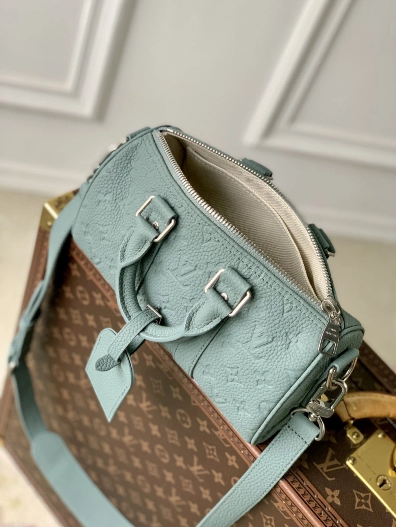 AllSeason LX Speedy Bags 898