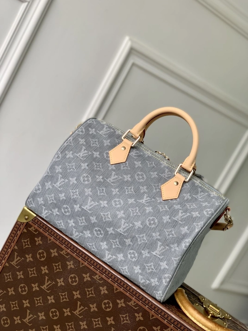 LX Speedy Bags Classic 882