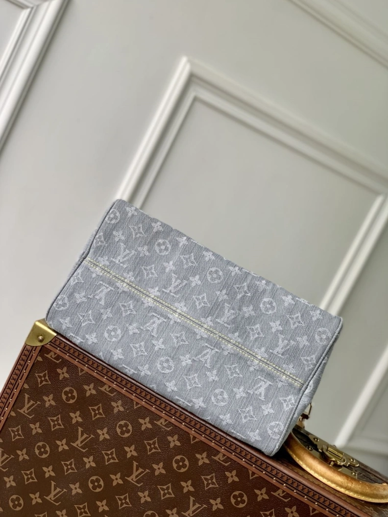 LX Speedy Bags Classic 882