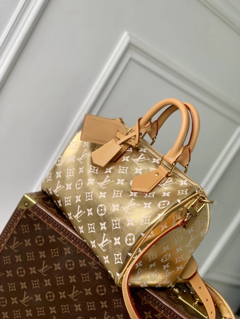 DailyWear LX Speedy Bags 889
