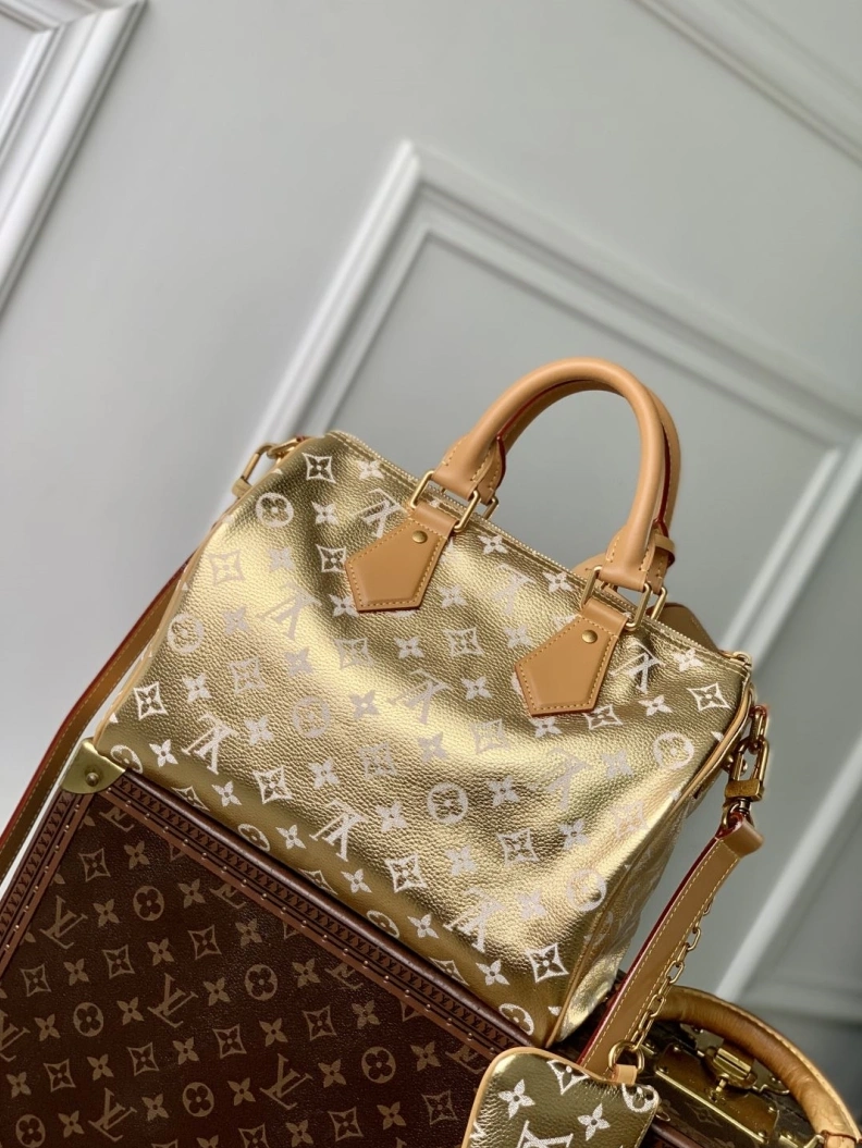 DailyWear LX Speedy Bags 889