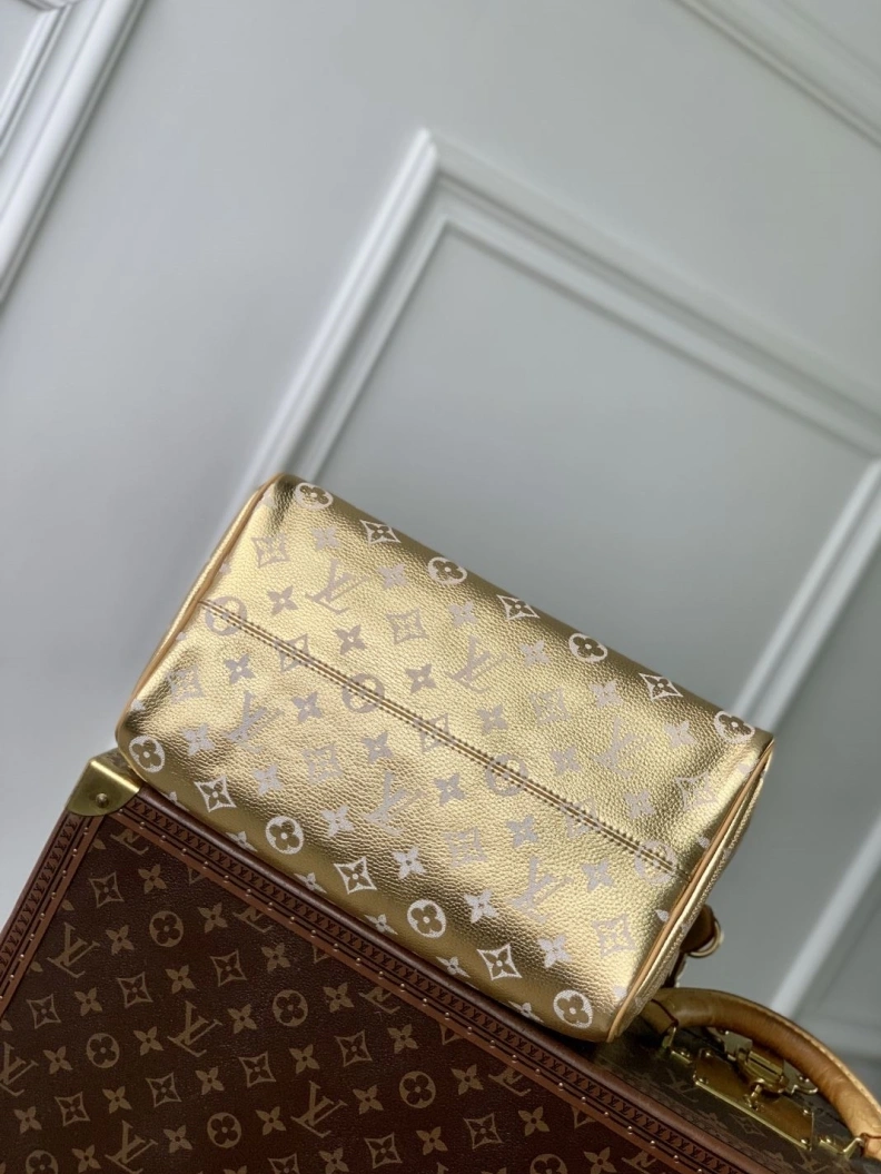 DailyWear LX Speedy Bags 889