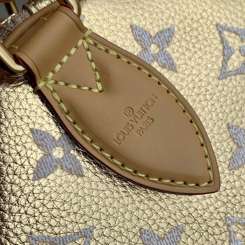 DailyWear LX Speedy Bags 889