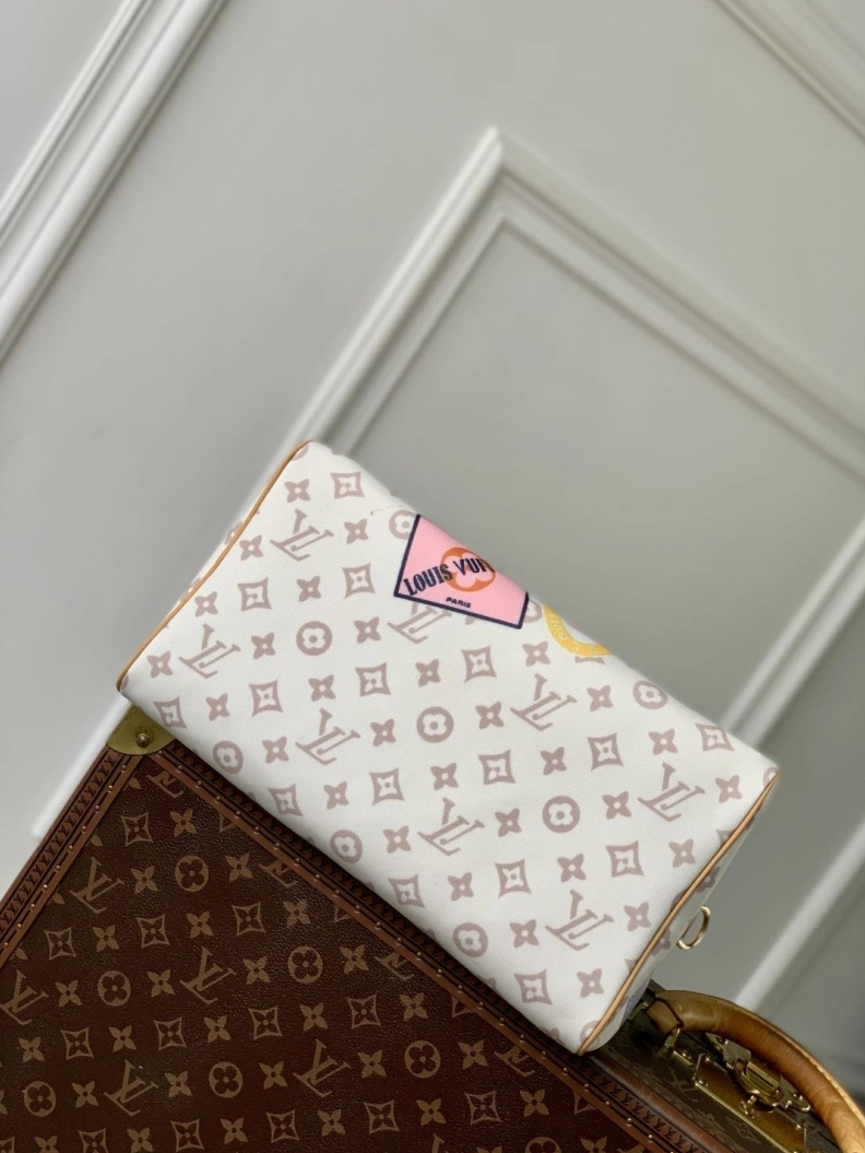 LX Speedy Bags WellDesigned 879