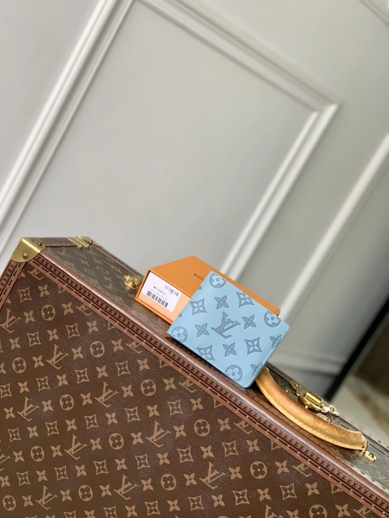 LX Wallets Bright 809