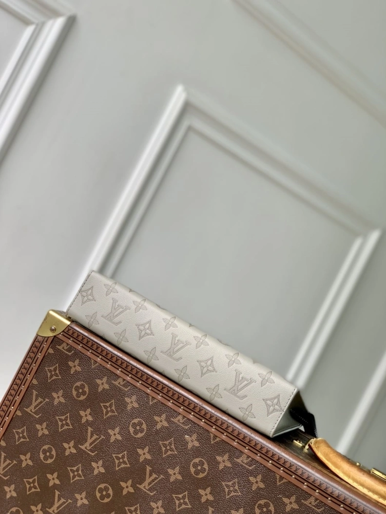 DailyWear LX Clutch Bags 977