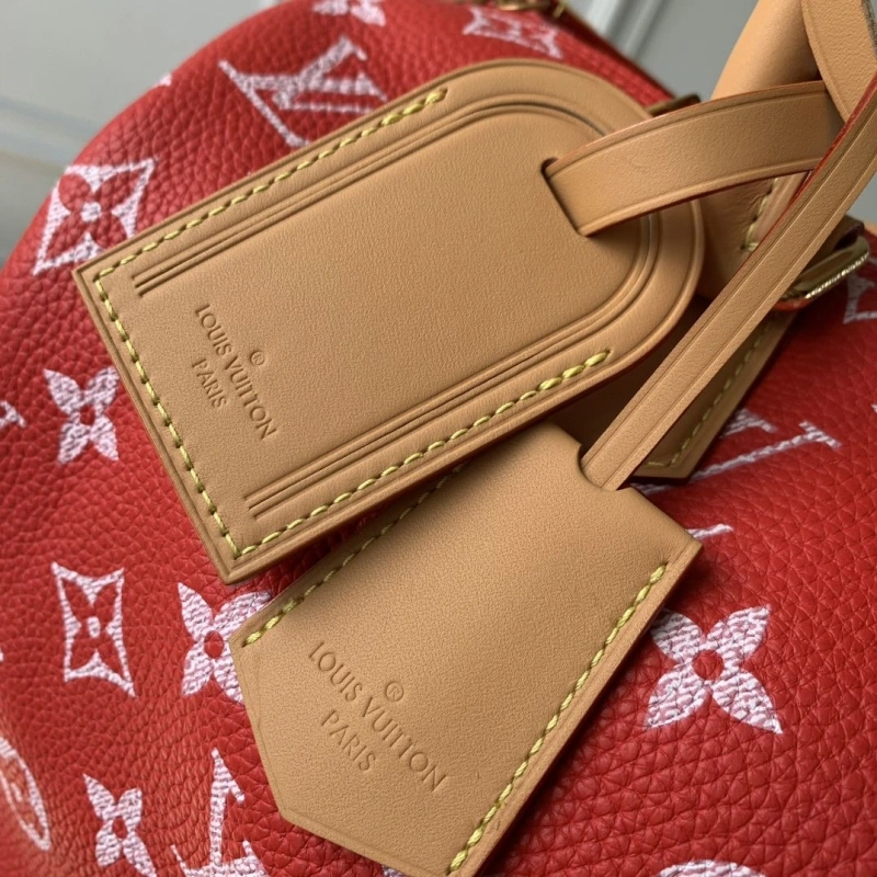Sophisticated LX Speedy Bags 4441