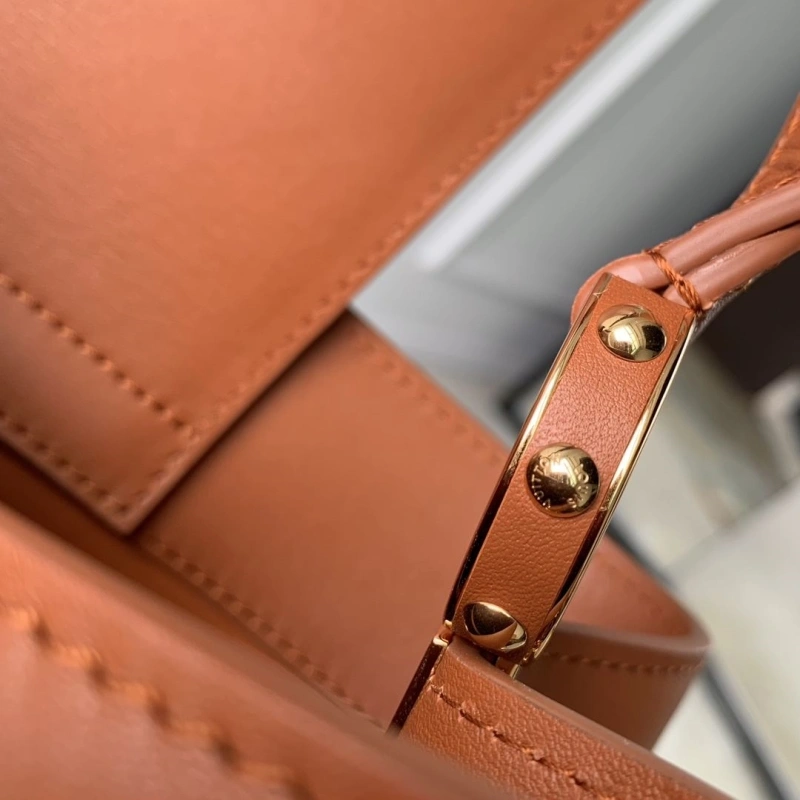 Sleek LX Caxucines Bags 4621