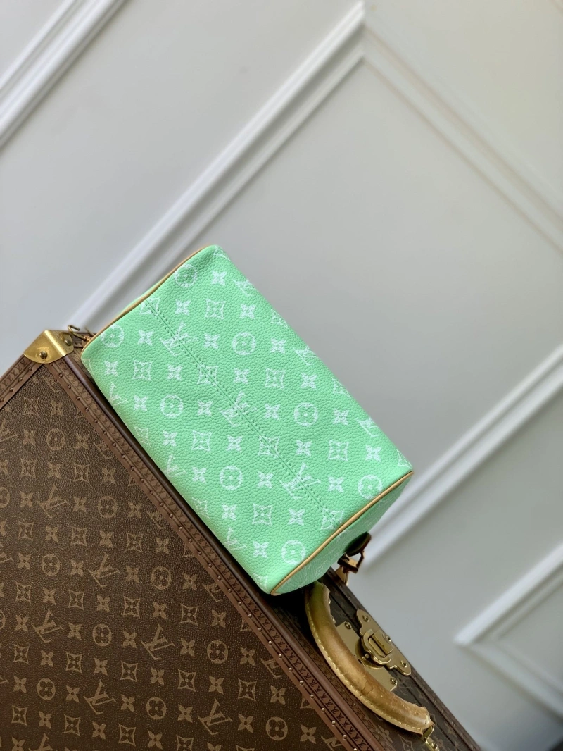 LX Speedy Bags DailyWear 4456
