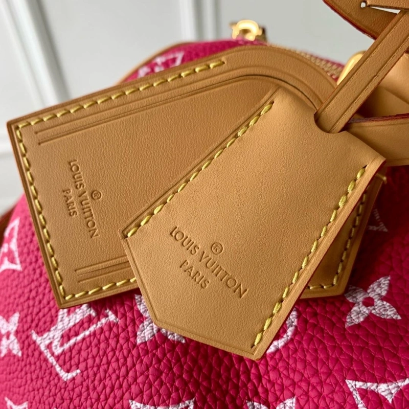 LX Speedy Bags Cozy 4412