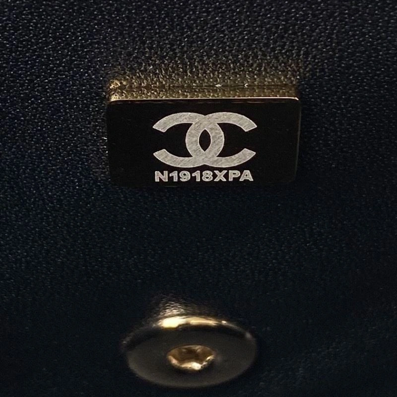 Chxnxl CF Series Bags Refined 31671
