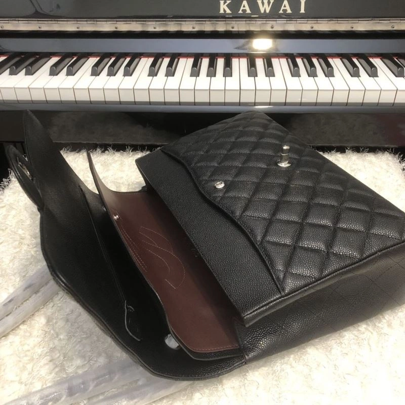 Chxnxl CF Series Bags Elegant 31606