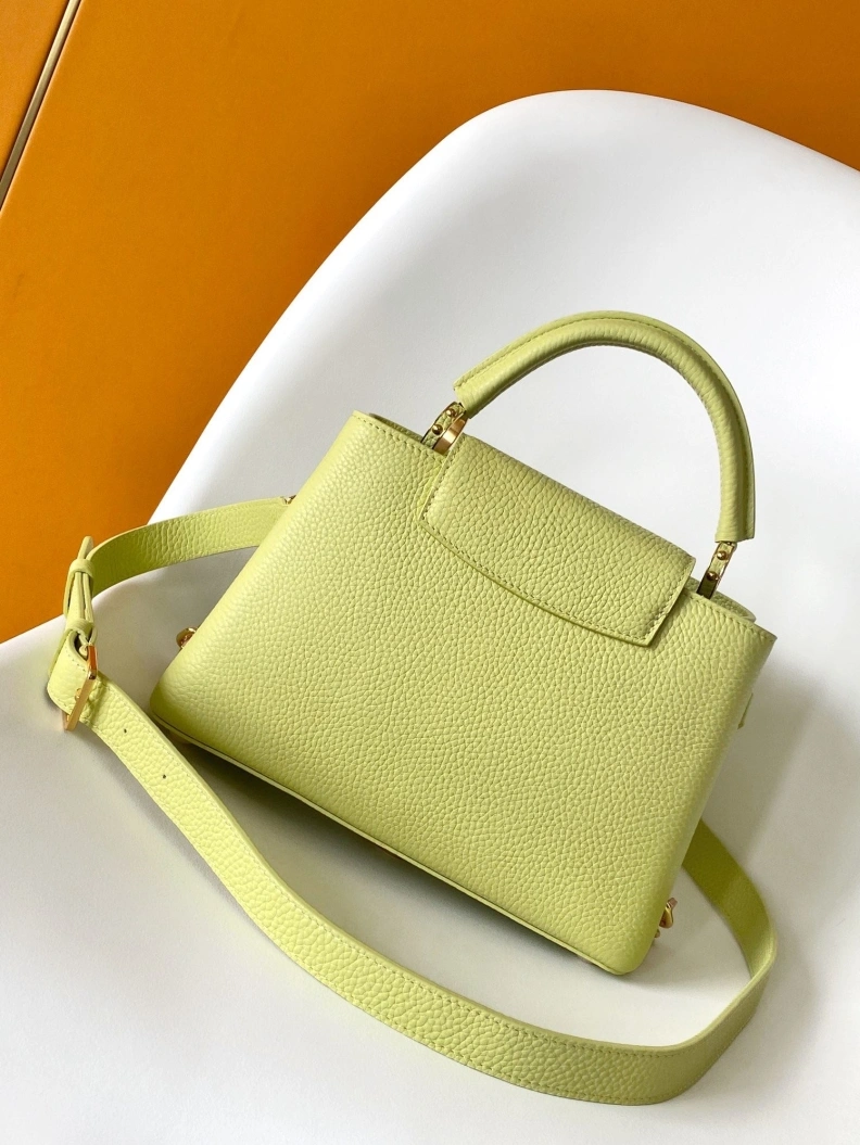 Stylish LX Caxucines Bags 18794
