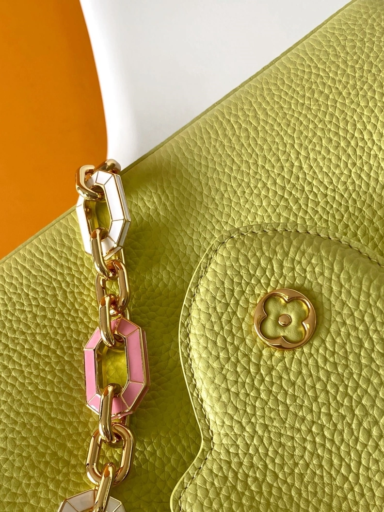 Stylish LX Caxucines Bags 18794