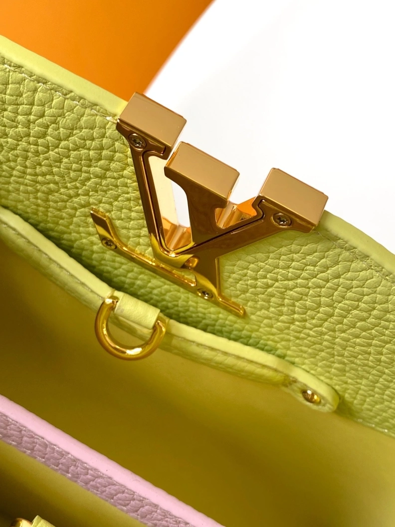 Stylish LX Caxucines Bags 18794