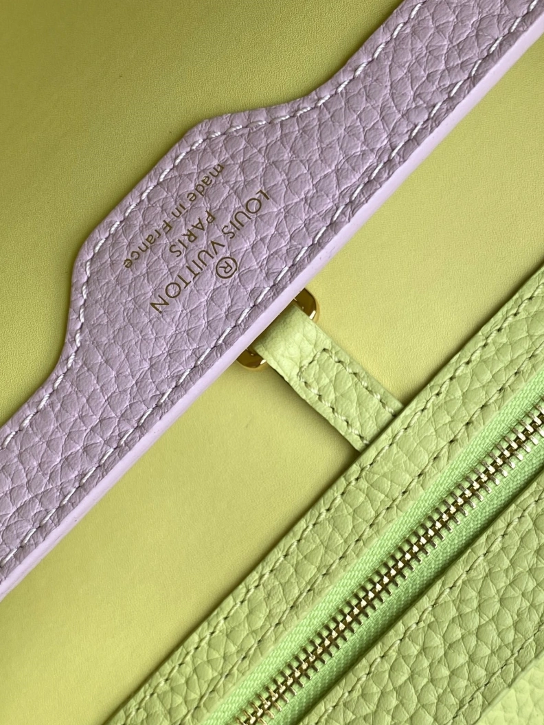 Stylish LX Caxucines Bags 18794