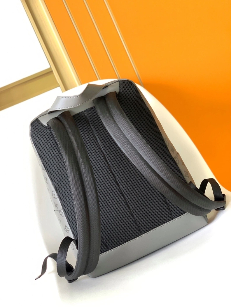 Sophisticated LX Backpacks 18870