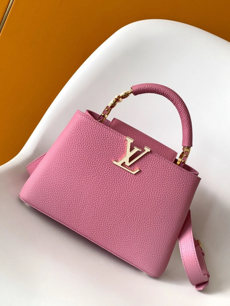 Trendsetting LX Caxucines Bags 18758