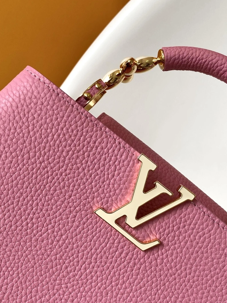 Trendsetting LX Caxucines Bags 18758
