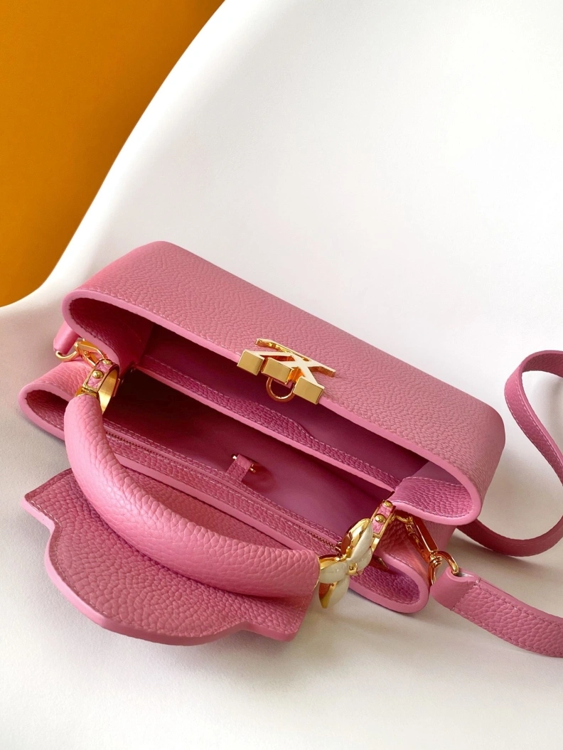Trendsetting LX Caxucines Bags 18758