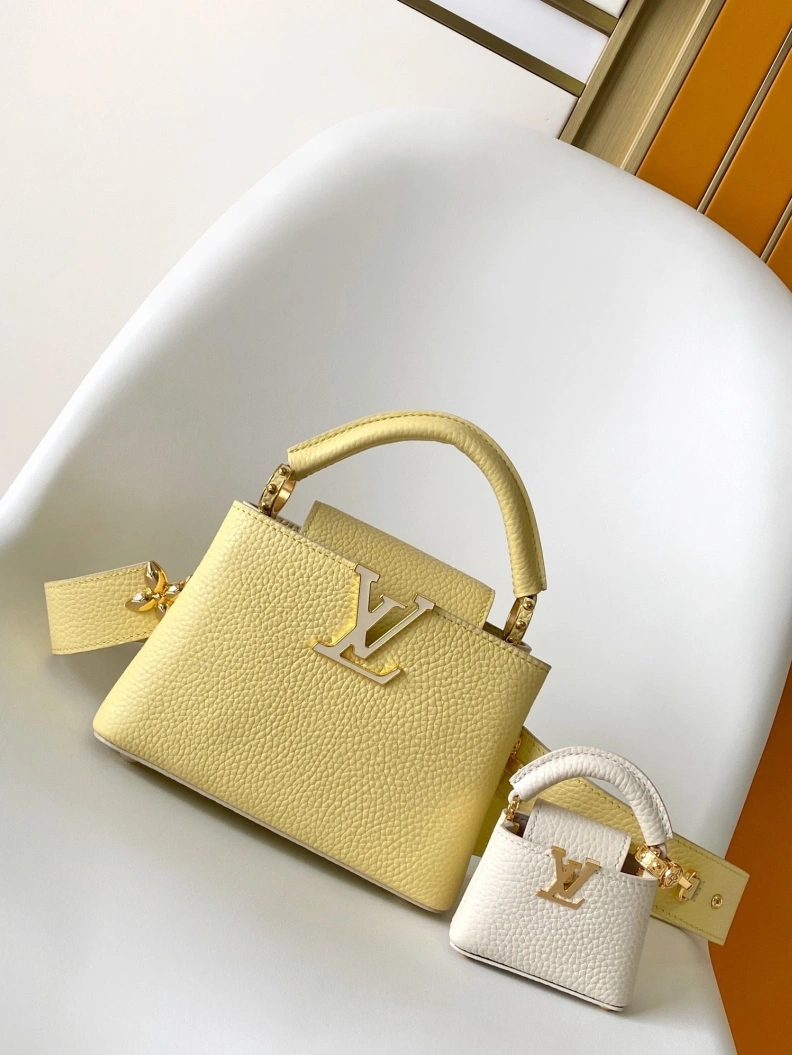 Sophisticated LX Caxucines Bags 18760