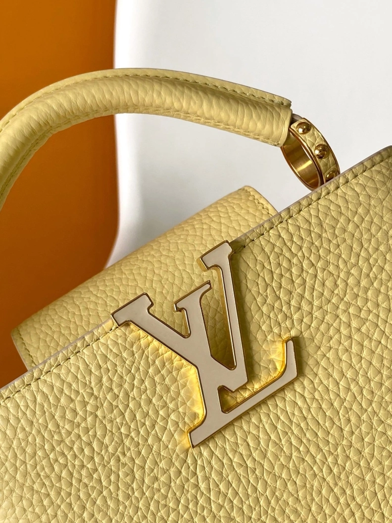 Sophisticated LX Caxucines Bags 18760
