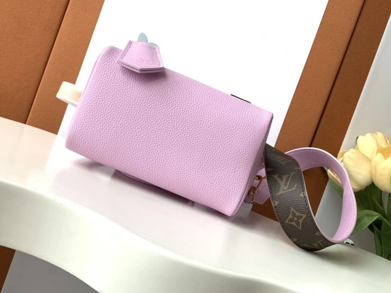 Fashionable LX Speedy Bags 18485