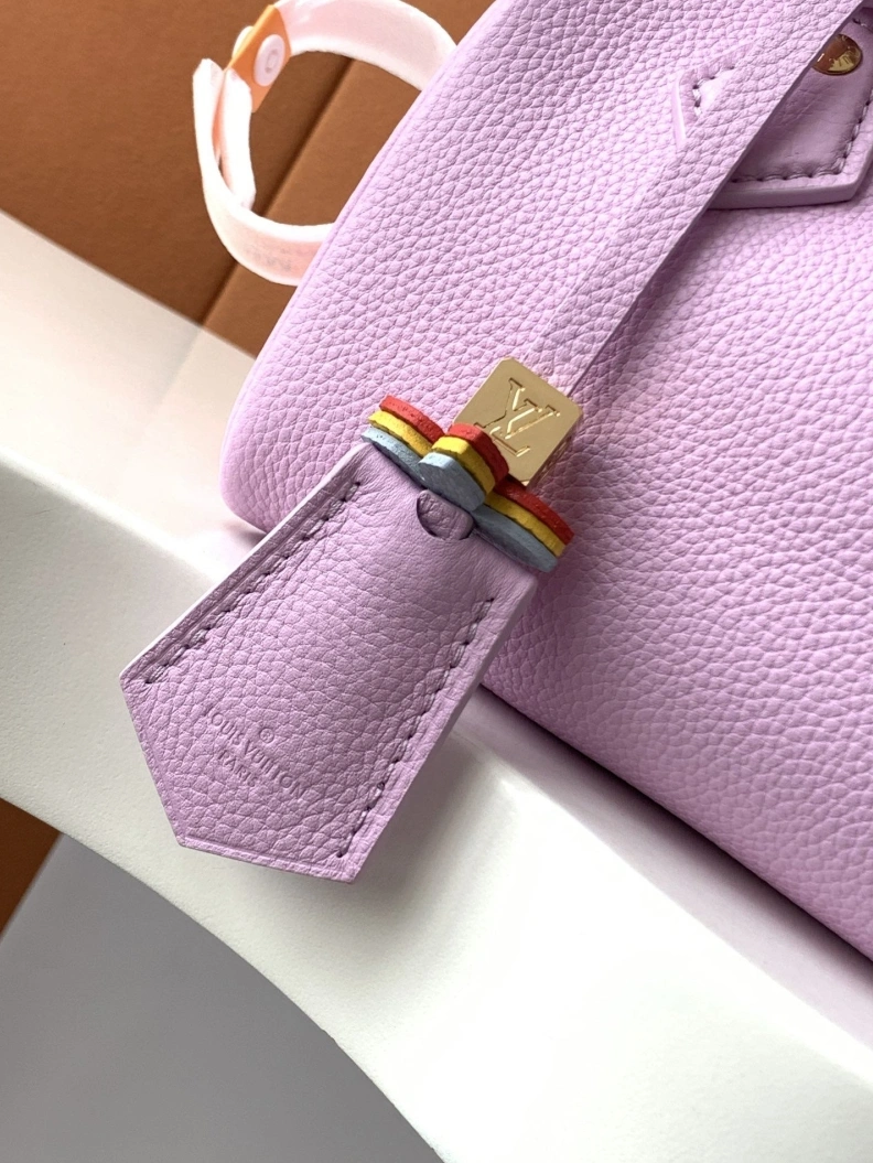 Fashionable LX Speedy Bags 18485