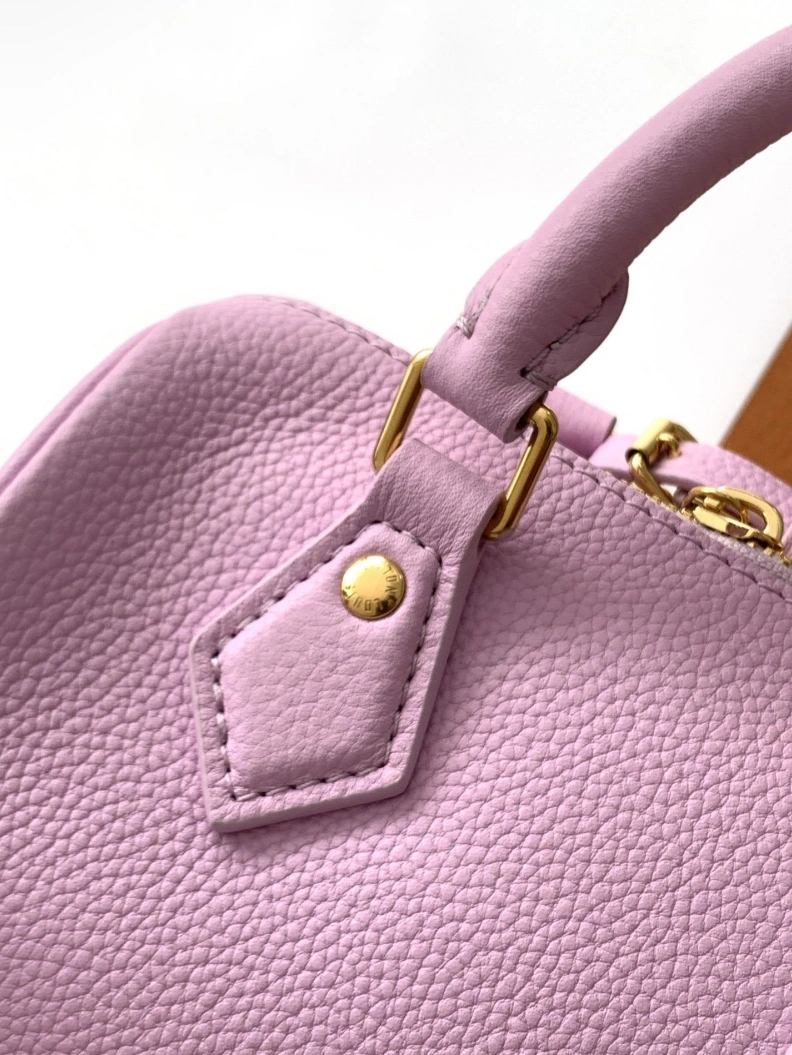 Fashionable LX Speedy Bags 18485