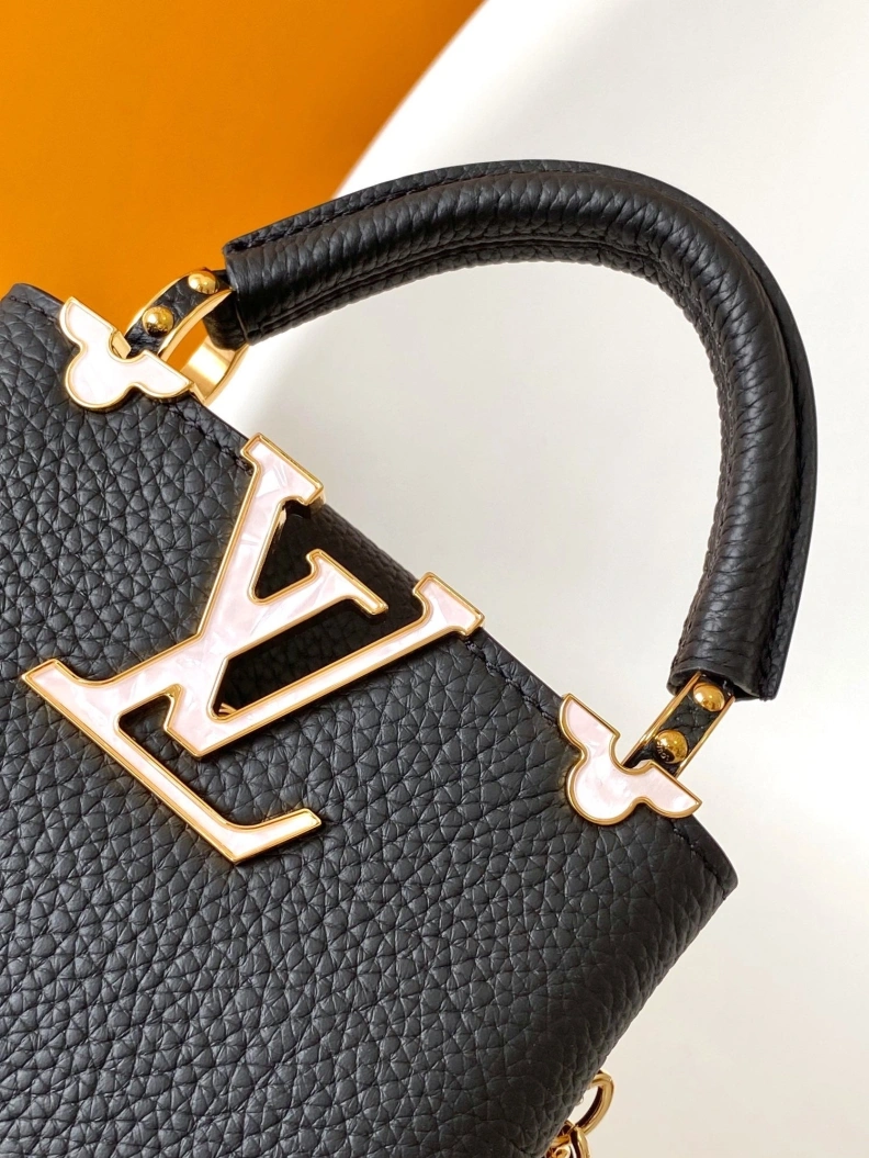 Trendsetting LX Caxucines Bags 18764