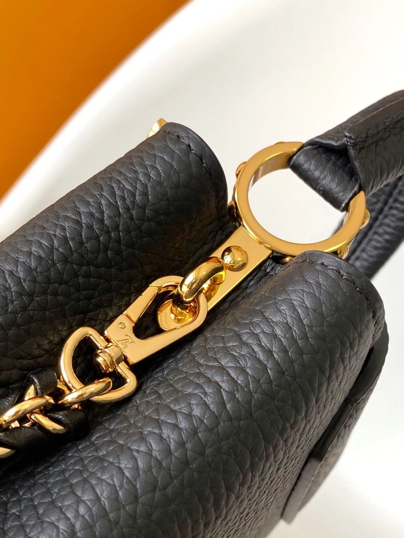 Trendsetting LX Caxucines Bags 18764