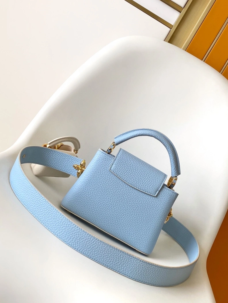 Trendsetting LX Caxucines Bags 13146