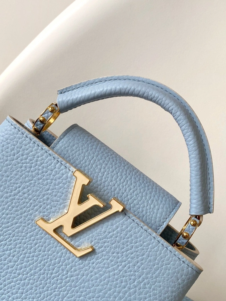 Trendsetting LX Caxucines Bags 13146