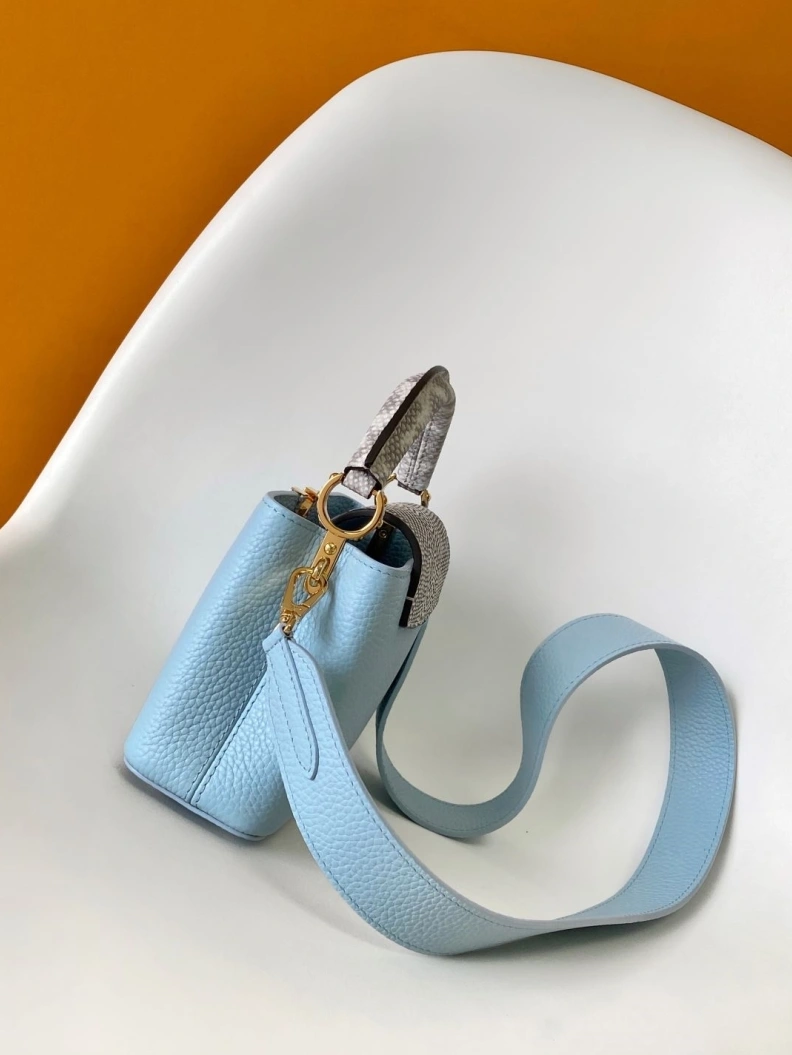 Trendsetting LX Caxucines Bags 7411