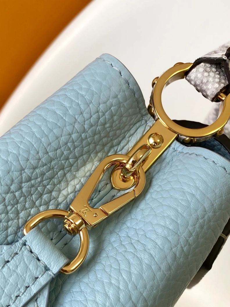 Trendsetting LX Caxucines Bags 7411