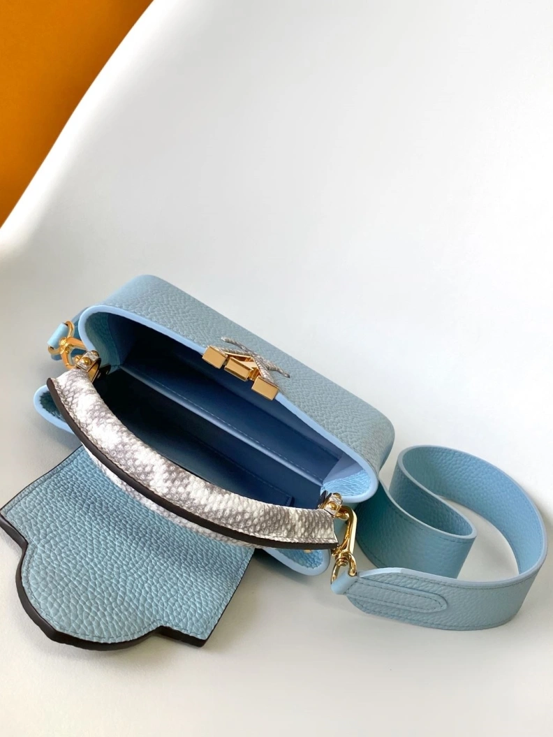 Trendsetting LX Caxucines Bags 7411