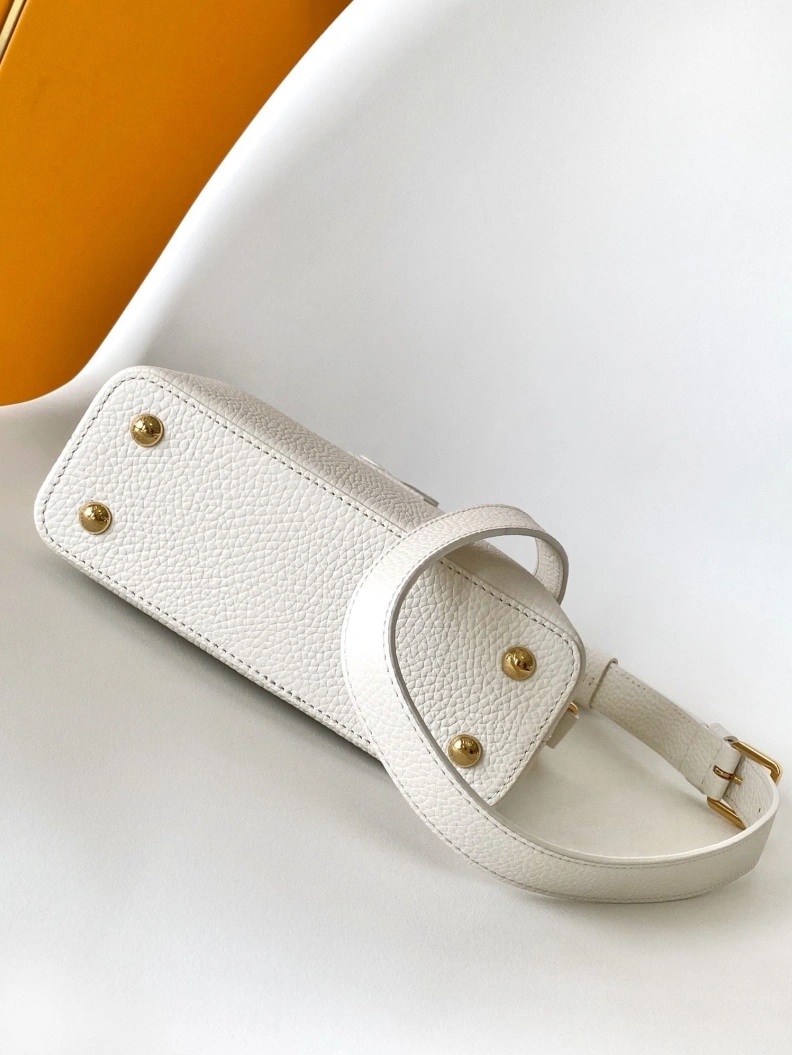Trendsetting LX Caxucines Bags 7402