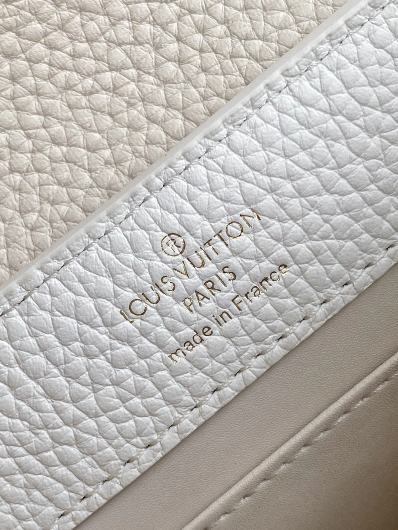 Trendsetting LX Caxucines Bags 7402