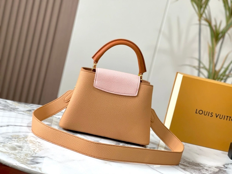 Popular LX Caxucines Bags 22591